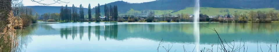 Le lac de Vesoul et sa zone de protection de la faune et de la flore